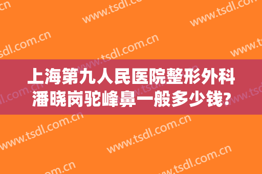 上海第九人民医院整形外科潘晓岗驼峰鼻一般多少钱?怎么样?(上海九院整形外科谢峰怎么样)