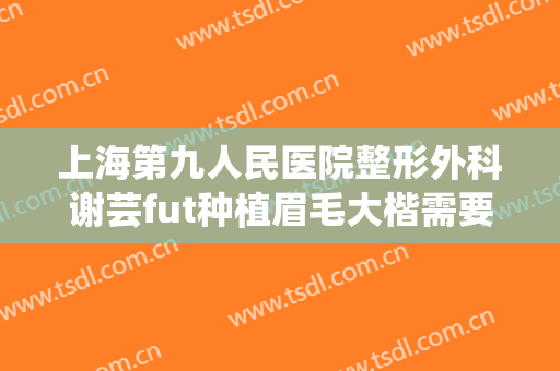 上海第九人民医院整形外科谢芸fut种植眉毛大楷需要多少钱?多长时间恢复?