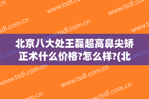 北京八大处王磊超高鼻尖矫正术什么价格?怎么样?(北京八大处隆鼻医生)