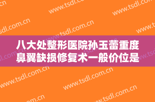 八大处整形医院孙玉蕾重度鼻翼缺损修复术一般价位是多少?靠谱吗?
