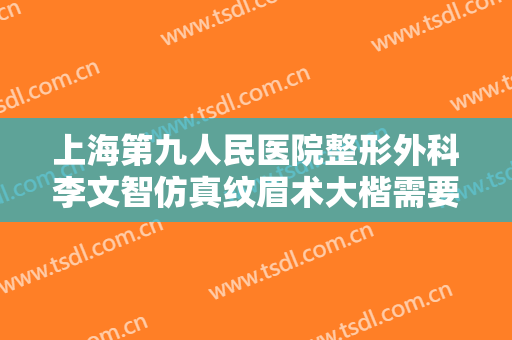 上海第九人民医院整形外科李文智仿真纹眉术大楷需要多少钱?效果怎么样?