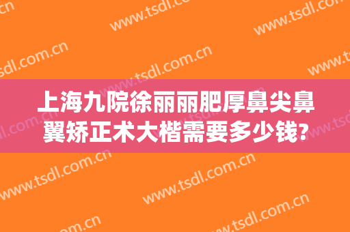 上海九院徐丽丽肥厚鼻尖鼻翼矫正术大楷需要多少钱?有哪些优势?(上海九院缩小鼻翼多少钱)