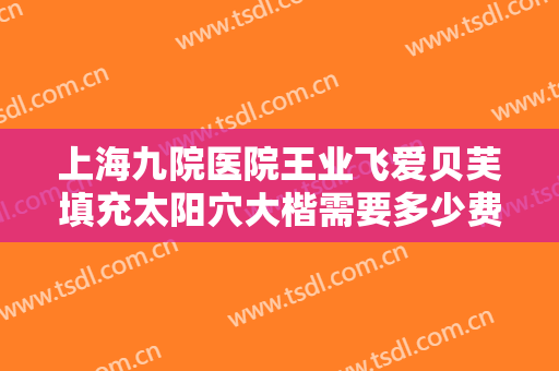 上海九院医院王业飞爱贝芙填充太阳穴大楷需要多少费用?可靠吗?