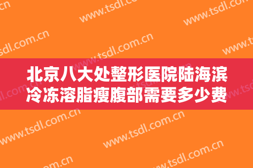 北京八大处整形医院陆海滨冷冻溶脂瘦腹部需要多少费用?好不好?