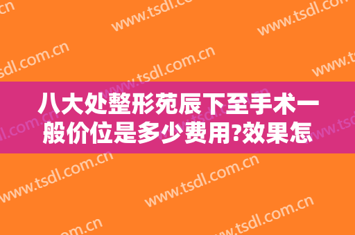 八大处整形苑辰下至手术一般价位是多少费用?效果怎么样?
