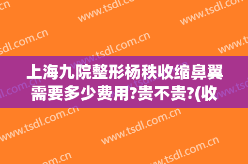 上海九院整形杨秩收缩鼻翼需要多少费用?贵不贵?(收缩鼻翼需要多少钱)
