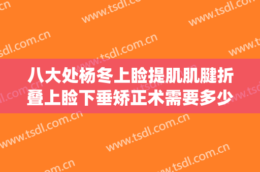 八大处杨冬上睑提肌肌腱折叠上睑下垂矫正术需要多少费用?好不好?(上睑下垂提肌手术多少钱)