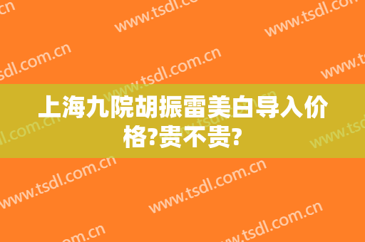 上海九院胡振雷美白导入价格?贵不贵?