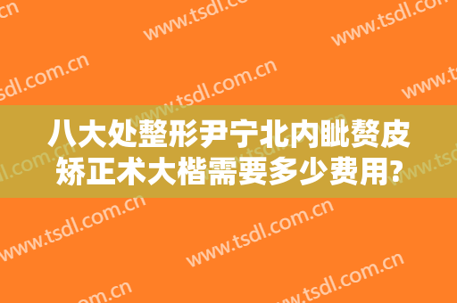 八大处整形尹宁北内眦赘皮矫正术大楷需要多少费用?靠谱吗?