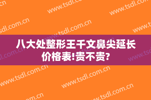 八大处整形王千文鼻尖延长价格表!贵不贵?
