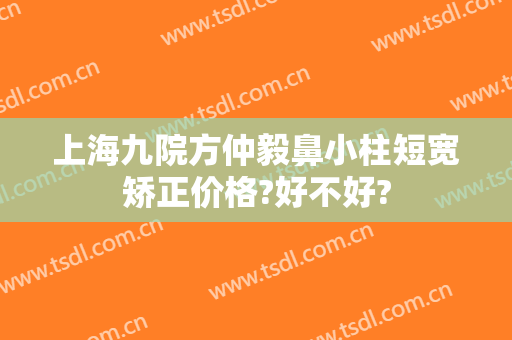 上海九院方仲毅鼻小柱短宽矫正价格?好不好?