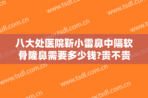 八大处医院靳小雷鼻中隔软骨隆鼻需要多少钱?贵不贵?