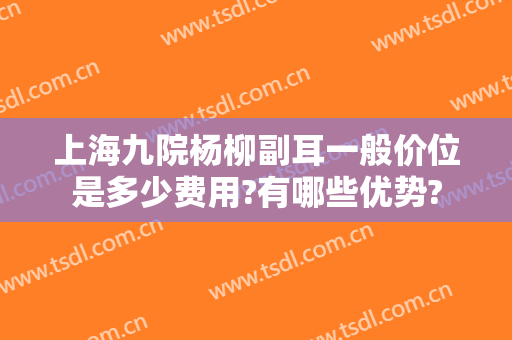上海九院杨柳副耳一般价位是多少费用?有哪些优势?