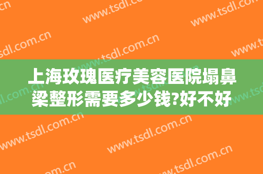 上海玫瑰医疗美容医院塌鼻梁整形需要多少钱?好不好?(武汉鼻部整形多少钱)