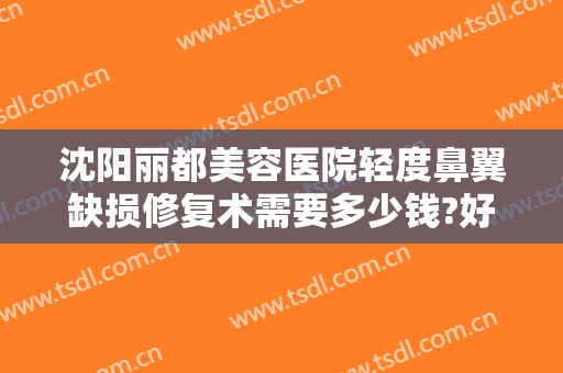 沈阳丽都美容医院轻度鼻翼缺损修复术需要多少钱?好不好?