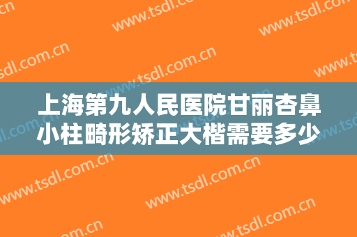 上海第九人民医院甘丽杏鼻小柱畸形矫正大楷需要多少费用?靠谱吗?