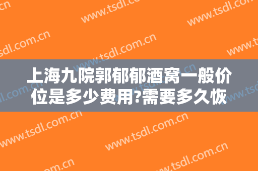 上海九院郭郁郁酒窝一般价位是多少费用?需要多久恢复?