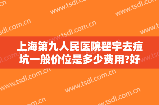 上海第九人民医院翟宇去痘坑一般价位是多少费用?好不好?