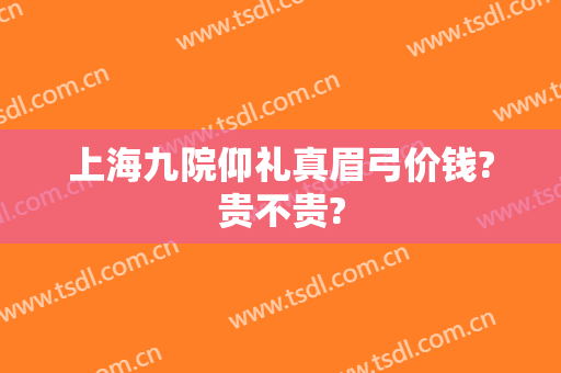 上海九院仰礼真眉弓价钱?贵不贵?