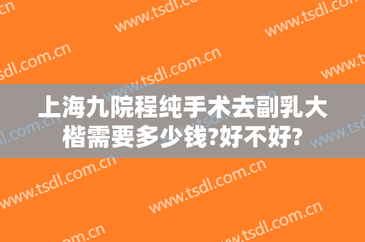 上海九院程纯手术去副乳大楷需要多少钱?好不好?