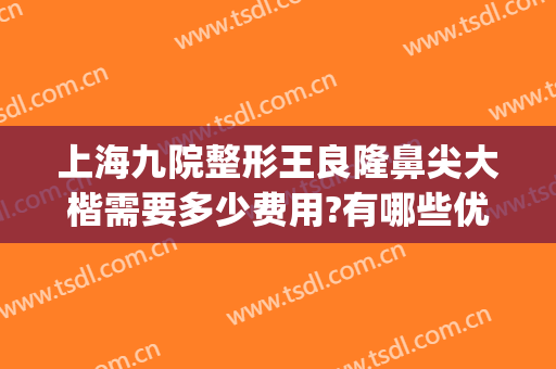 上海九院整形王良隆鼻尖大楷需要多少费用?有哪些优势?(上海九院王琛隆鼻案例)