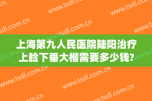上海第九人民医院陆阳治疗上睑下垂大楷需要多少钱?贵不贵?(上海九院上睑下垂手术多少钱)