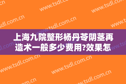 上海九院整形杨丹苓阴茎再造术一般多少费用?效果怎么样?