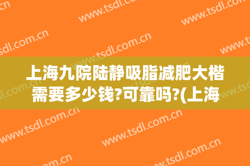 上海九院陆静吸脂减肥大楷需要多少钱?可靠吗?(上海九院腰腹吸脂价格)