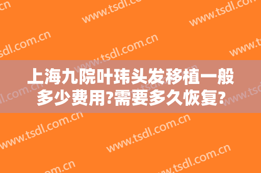 上海九院叶玮头发移植一般多少费用?需要多久恢复?