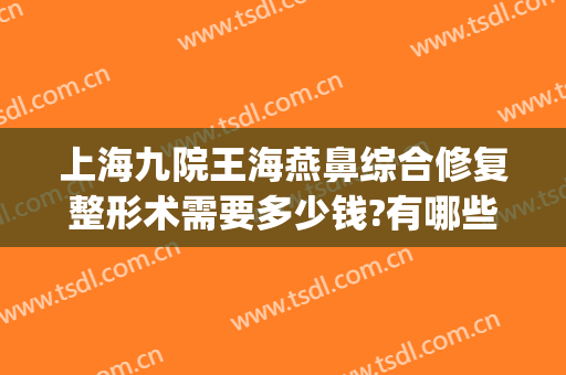上海九院王海燕鼻综合修复整形术需要多少钱?有哪些优势?(上海九院做鼻子修复多少钱)