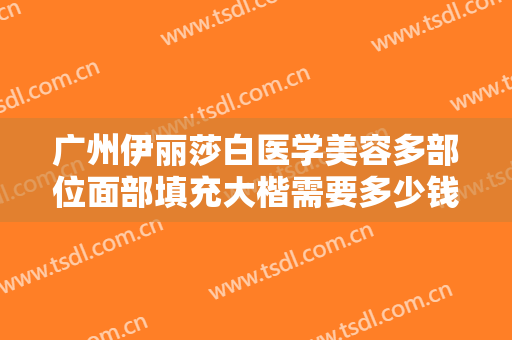 广州伊丽莎白医学美容多部位面部填充大楷需要多少钱?效果怎么样?