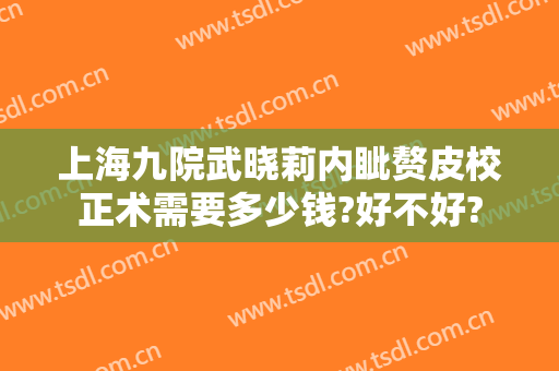 上海九院武晓莉内眦赘皮校正术需要多少钱?好不好?