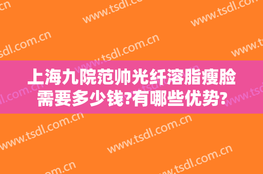 上海九院范帅光纤溶脂瘦脸需要多少钱?有哪些优势?