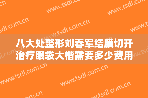 八大处整形刘春军结膜切开治疗眼袋大楷需要多少费用?需要多久恢复?