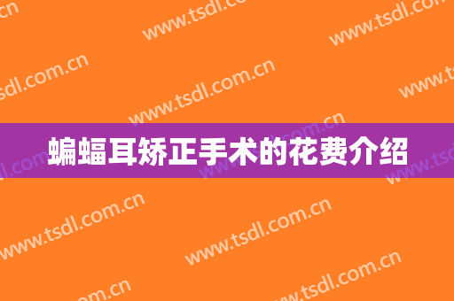蝙蝠耳矫正手术的花费介绍