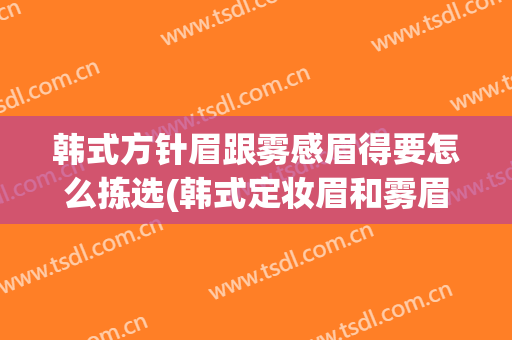 韩式方针眉跟雾感眉得要怎么拣选(韩式定妆眉和雾眉)