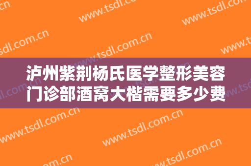 泸州紫荆杨氏医学整形美容门诊部酒窝大楷需要多少费用?可靠吗?