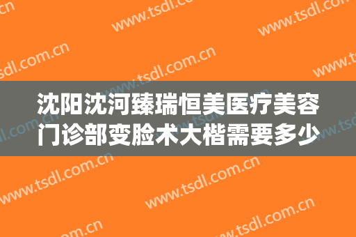 沈阳沈河臻瑞恒美医疗美容门诊部变脸术大楷需要多少钱?靠谱吗?(沈阳哪里做医美正规)