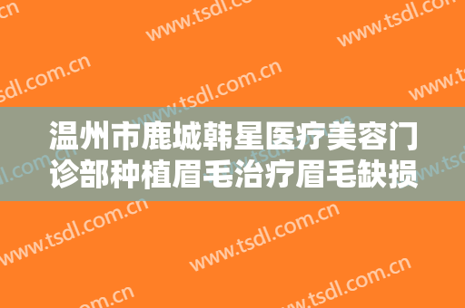 温州市鹿城韩星医疗美容门诊部种植眉毛治疗眉毛缺损需要多少费用?靠谱吗?
