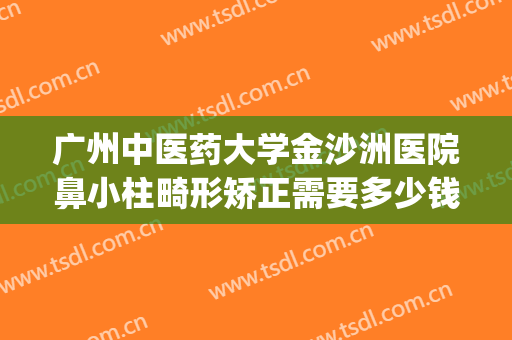 广州中医药大学金沙洲医院鼻小柱畸形矫正需要多少钱?可靠吗?(广州正畸最好的医院)