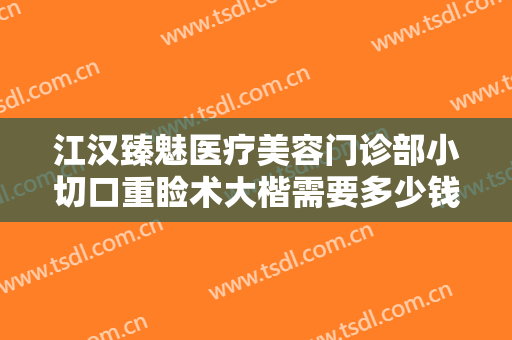 江汉臻魅医疗美容门诊部小切口重睑术大楷需要多少钱?可靠吗?