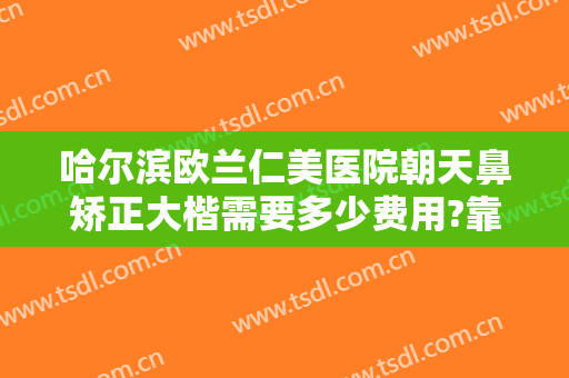 哈尔滨欧兰仁美医院朝天鼻矫正大楷需要多少费用?靠谱吗?