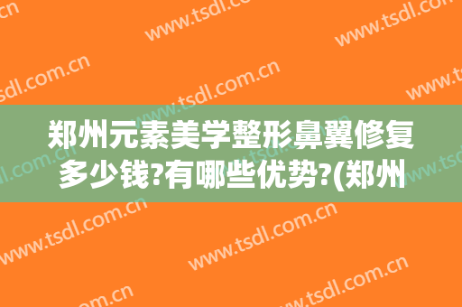 郑州元素美学整形鼻翼修复多少钱?有哪些优势?(郑州鼻整形修复专家)
