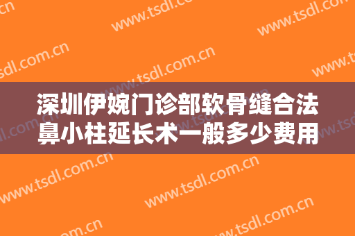 深圳伊婉门诊部软骨缝合法鼻小柱延长术一般多少费用?贵不贵?