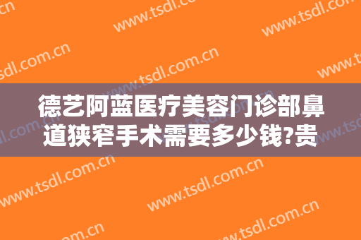 德艺阿蓝医疗美容门诊部鼻道狭窄手术需要多少钱?贵不贵?
