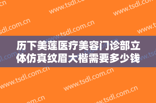 历下美莲医疗美容门诊部立体仿真纹眉大楷需要多少钱?好不好?