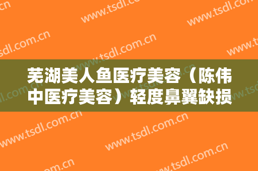 芜湖美人鱼医疗美容（陈伟中医疗美容）轻度鼻翼缺损修复术一般价位是多少费用?贵不贵?