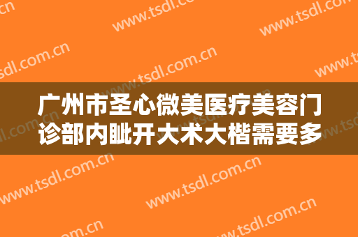 广州市圣心微美医疗美容门诊部内眦开大术大楷需要多少钱?效果怎么样?