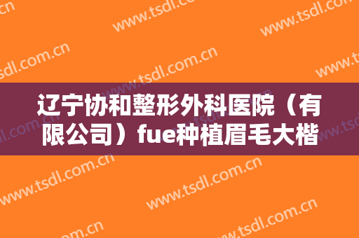 辽宁协和整形外科医院（有限公司）fue种植眉毛大楷需要多少费用?效果怎么样?