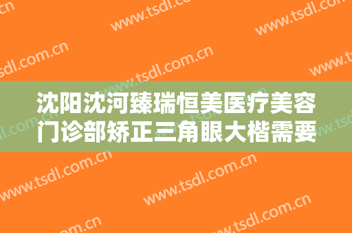 沈阳沈河臻瑞恒美医疗美容门诊部矫正三角眼大楷需要多少费用?效果怎么样?